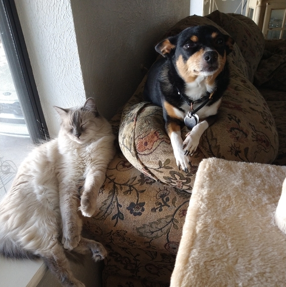 Meet your Posher, Julie - Picture 2 of 12